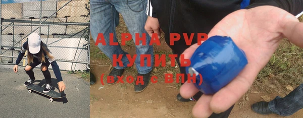 ПСИЛОЦИБИНОВЫЕ ГРИБЫ Белоозёрский