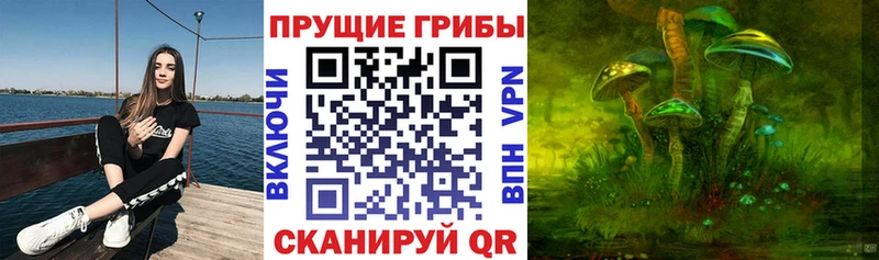 Купить закладки  Геленджик  Псилоцибиновые грибы мицелий 